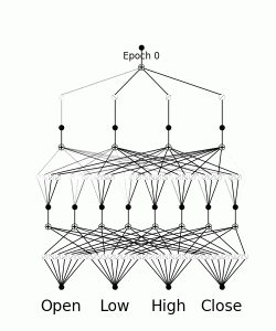 The spline transformations throughout training.